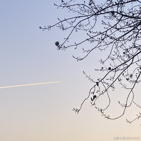 躬行者于2023-12-29 08:57发布的图片