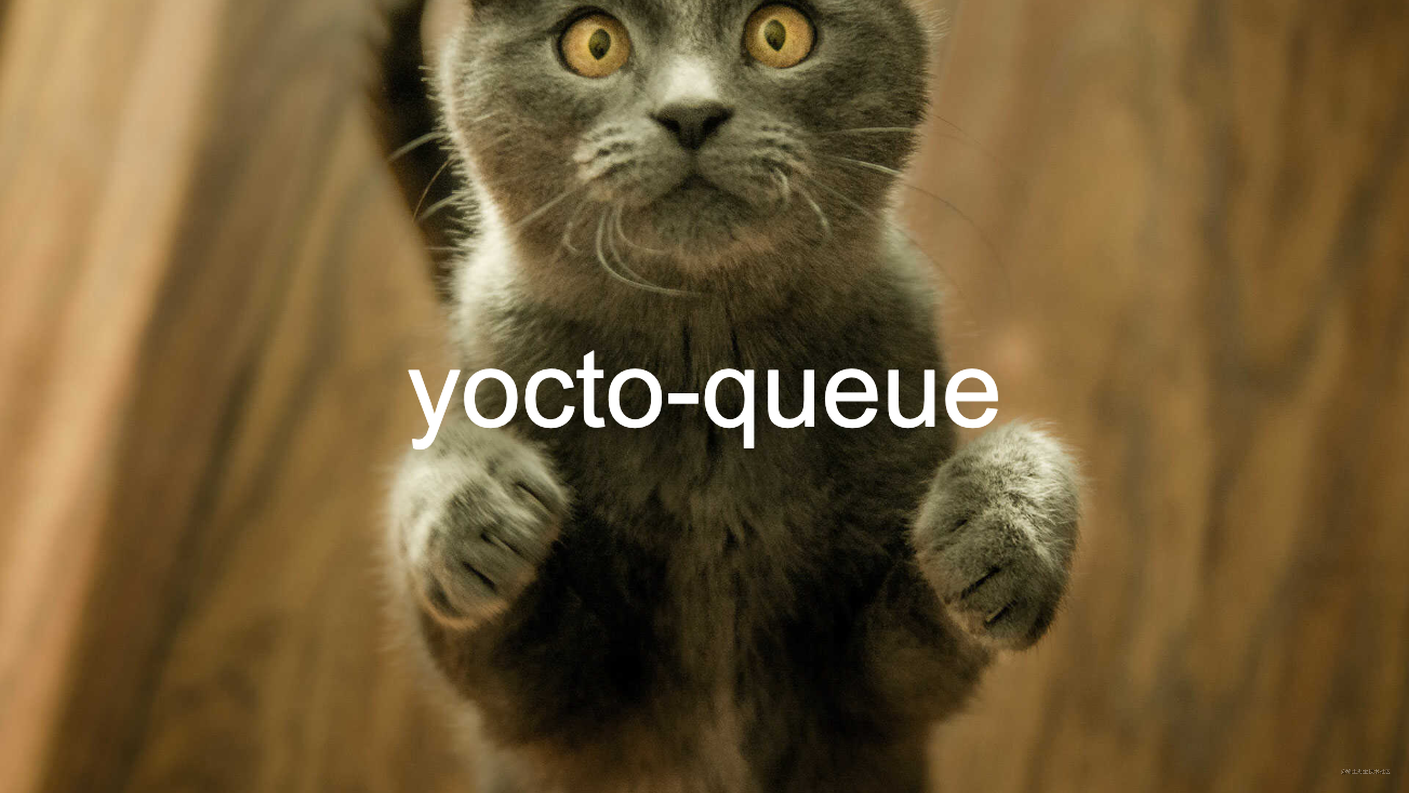 第32期 | yocto-queue