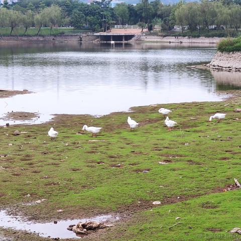 inuyama于2022-11-21 15:50发布的图片