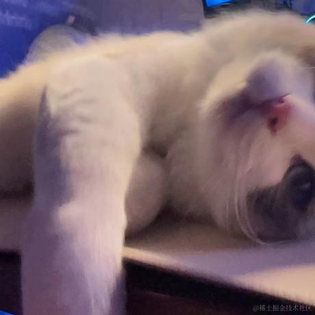 凌晨三点的猫于2023-12-21 10:56发布的图片