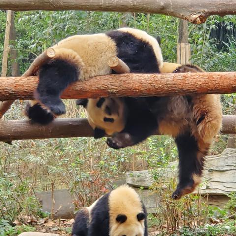 没有哆啦的A梦于2023-03-17 09:46发布的图片