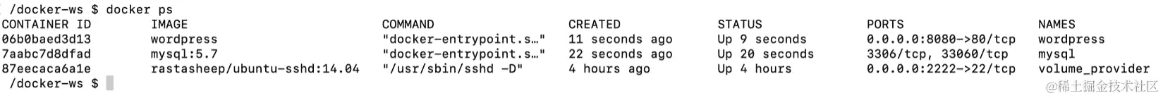 图 15.17：WordPress 和数据库容器