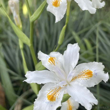 清欢爱蹦跶于2022-04-12 19:16发布的图片