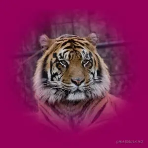 Adobe认证指南｜20 年的 PDF 透明度，你真的了解吗？