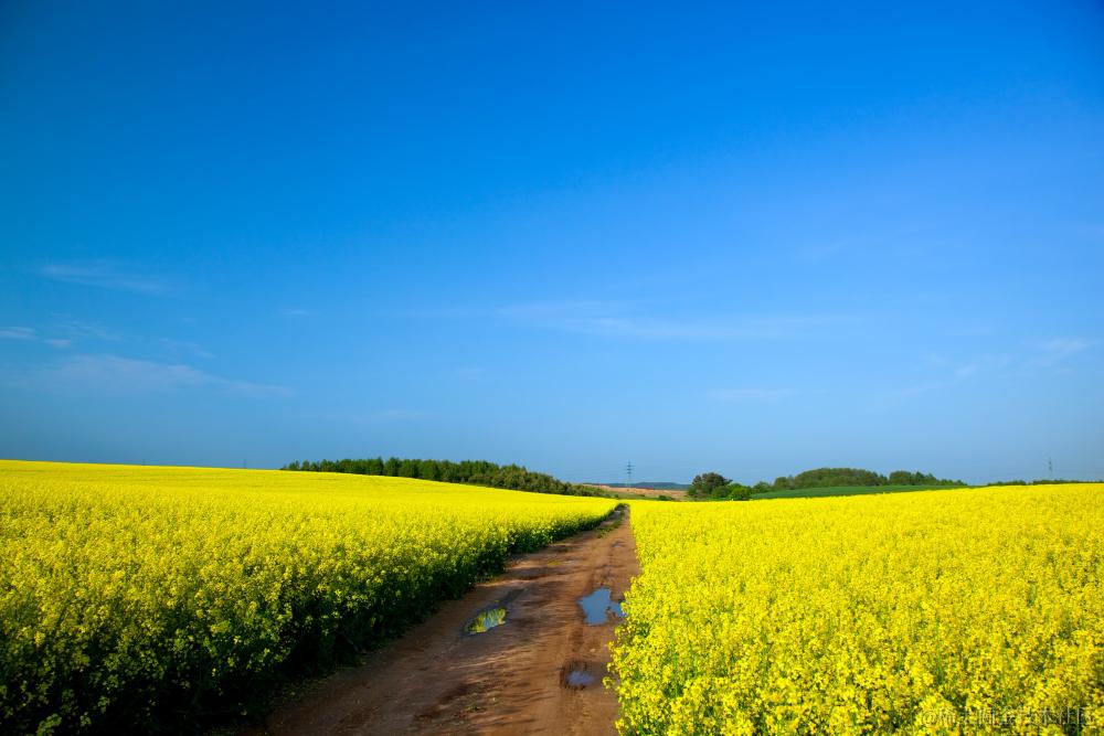 配图源自 Freepik