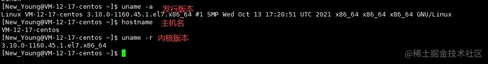 image-20220512213854527