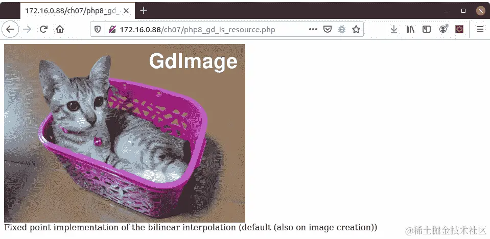 图 7.3 - PHP 8 GD 图像对象实例
