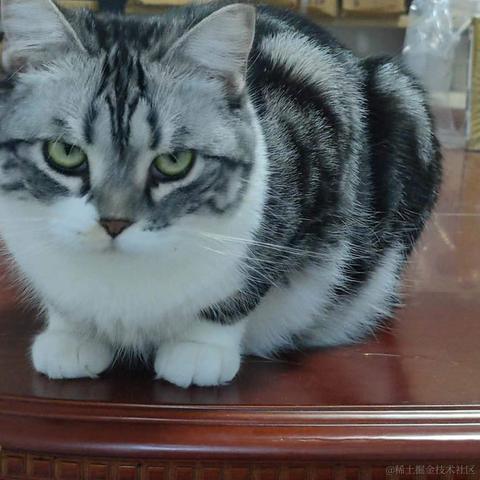 快乐摸鱼一天又一天于2022-11-16 15:41发布的图片