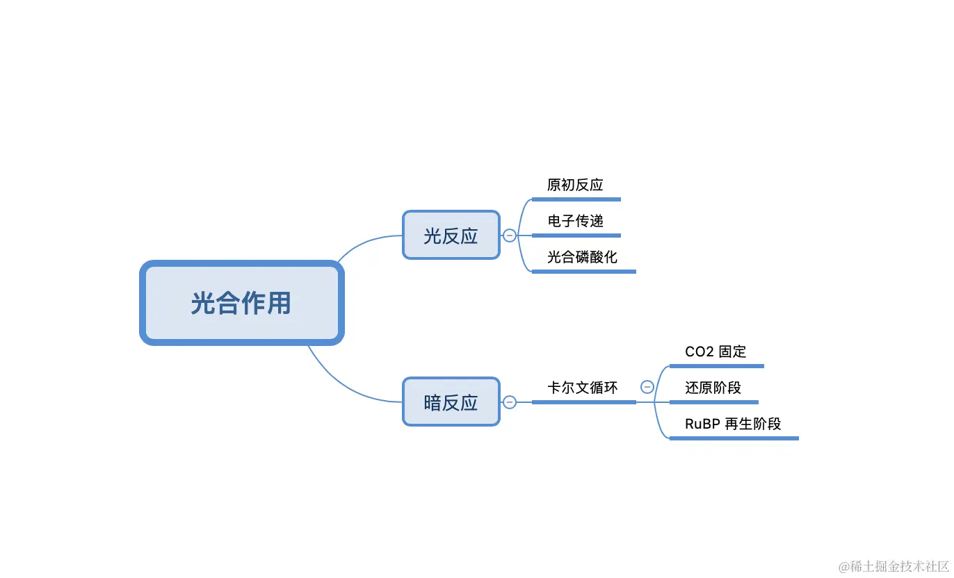 image-20240203152342824