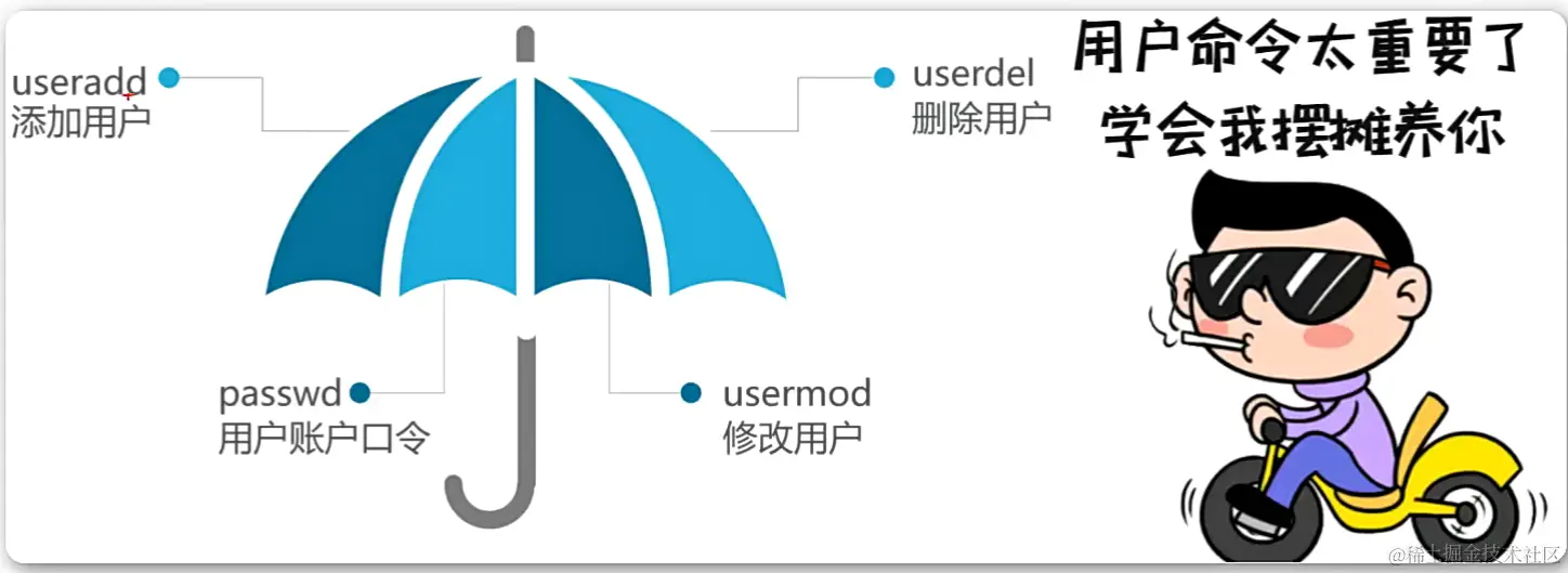 image-20240116215403876