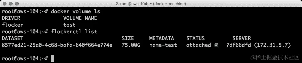 测试一切是否正常运行