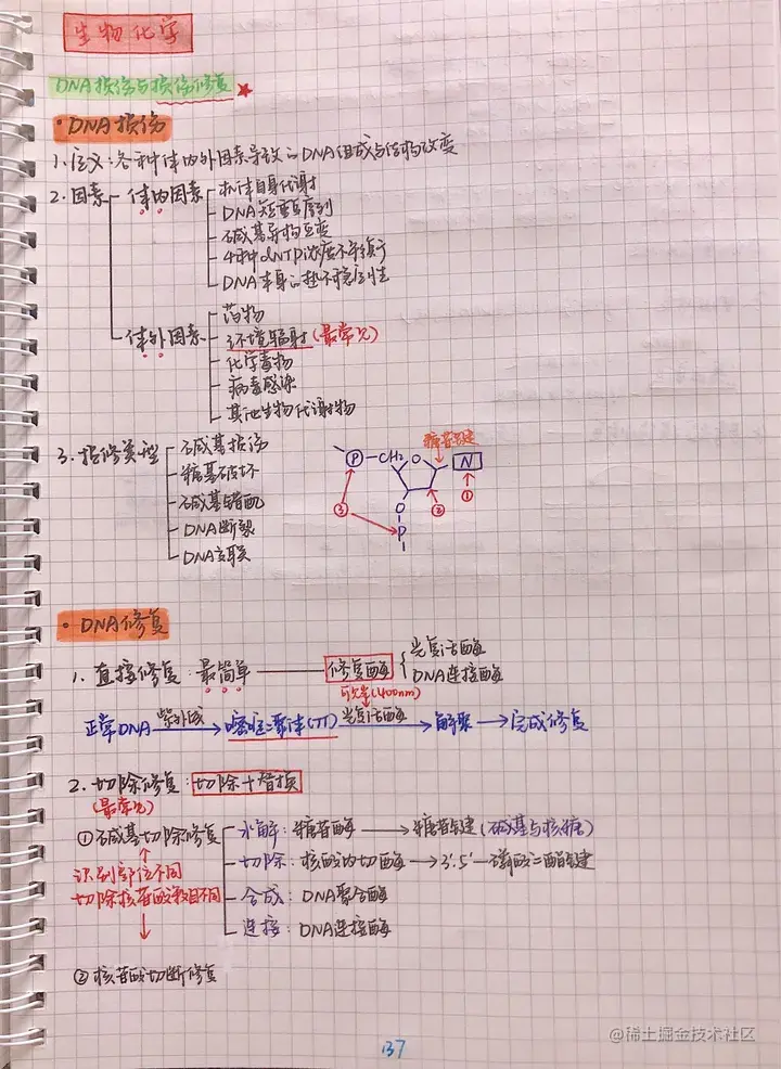 生化手写笔记.pdf