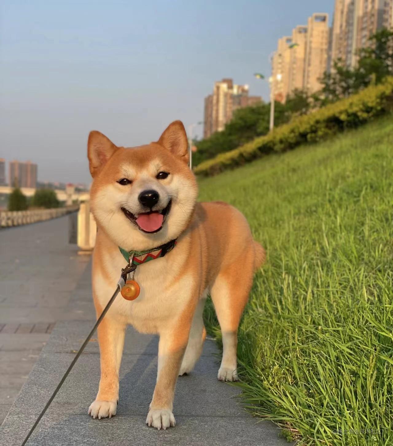 不定期Bug随手记