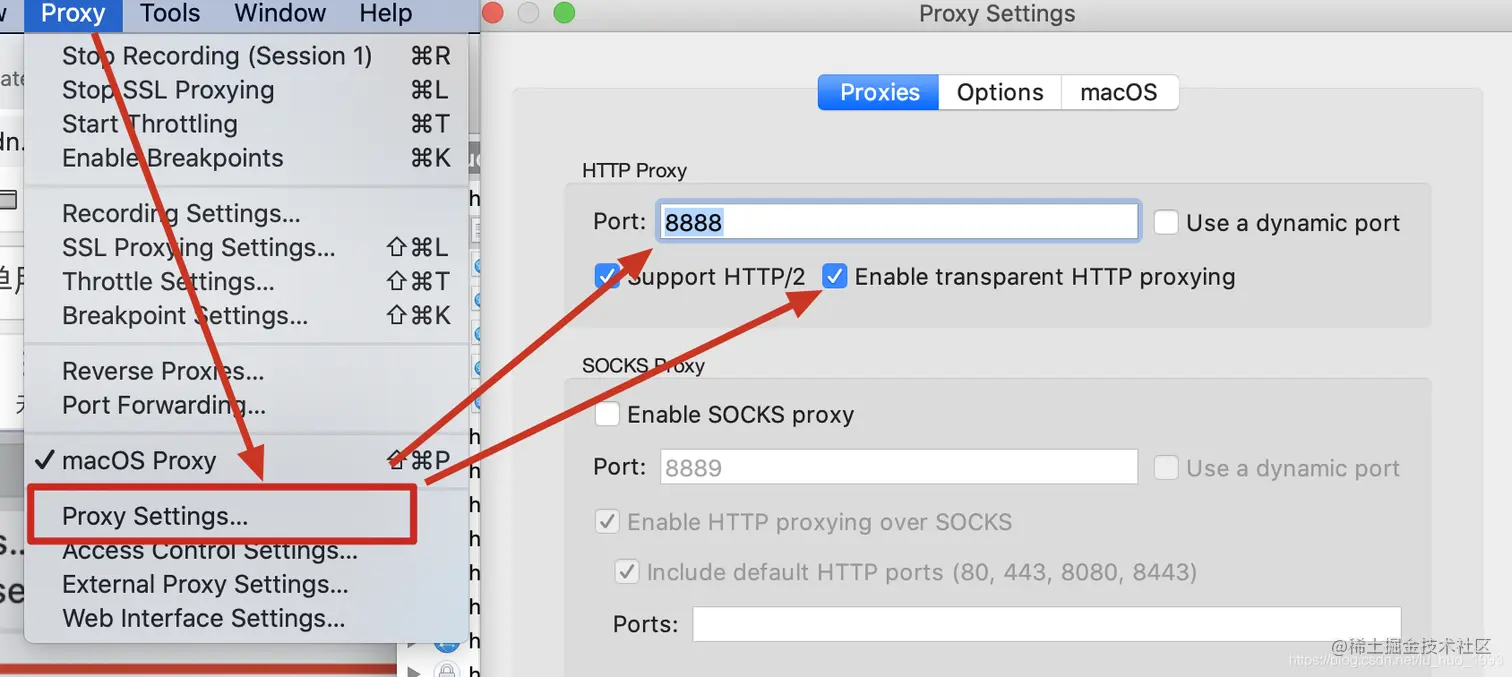 查看启动的代理端口