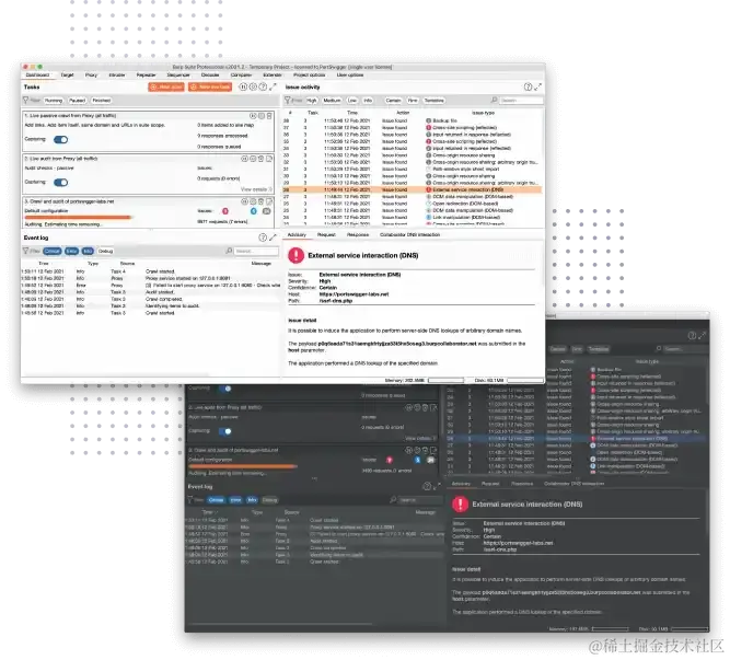 Burp Suite Professional 仪表板的屏幕截图