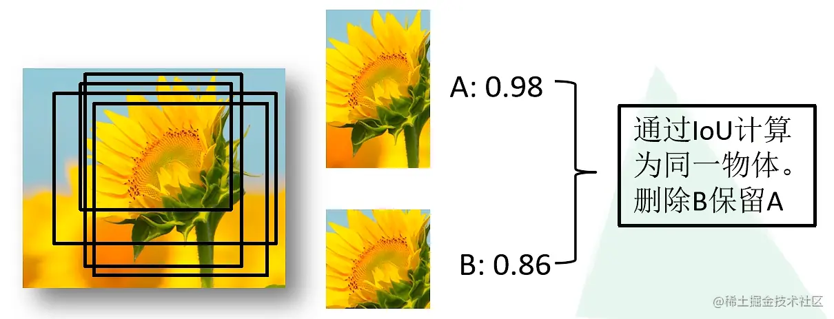 image-20220617102646414