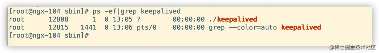 image-20200521214838919