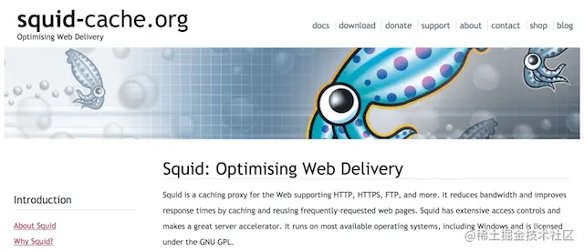 Squid Cache 网站截图