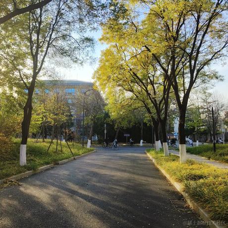 晓晓子于2022-11-22 00:52发布的图片