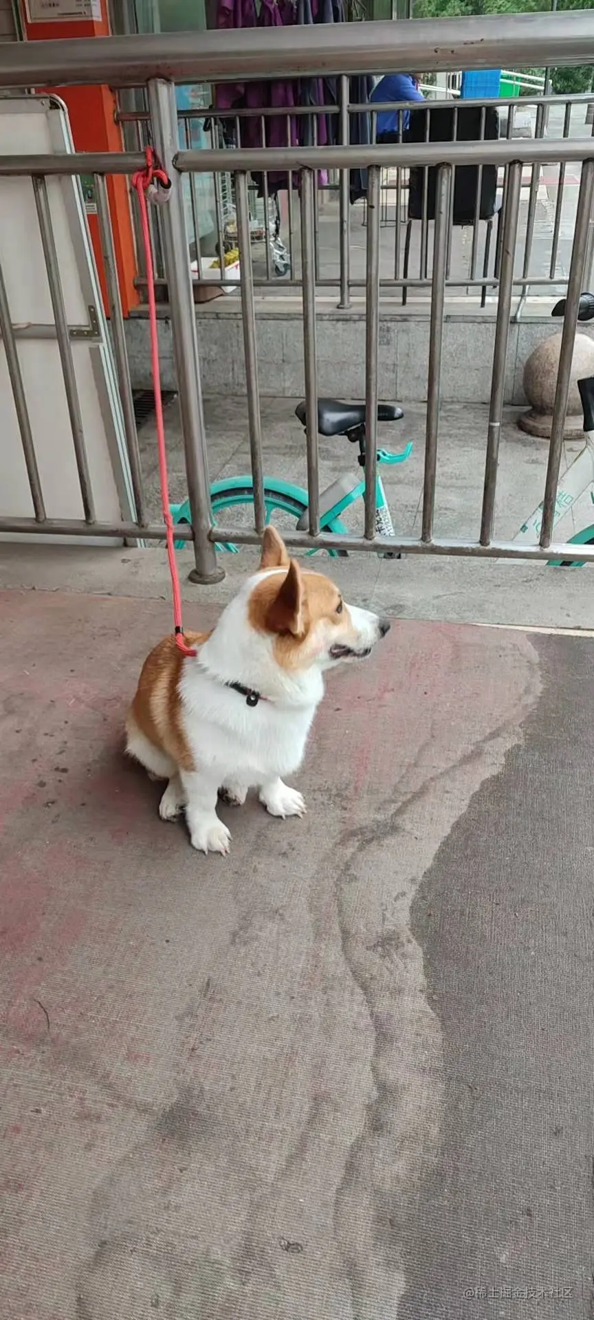 微信图片_20220103005737