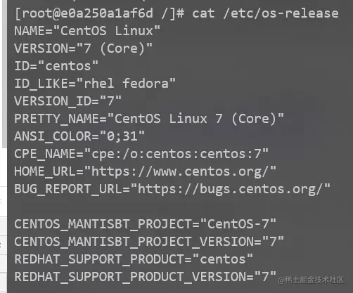 Docker容器内运行该命令
