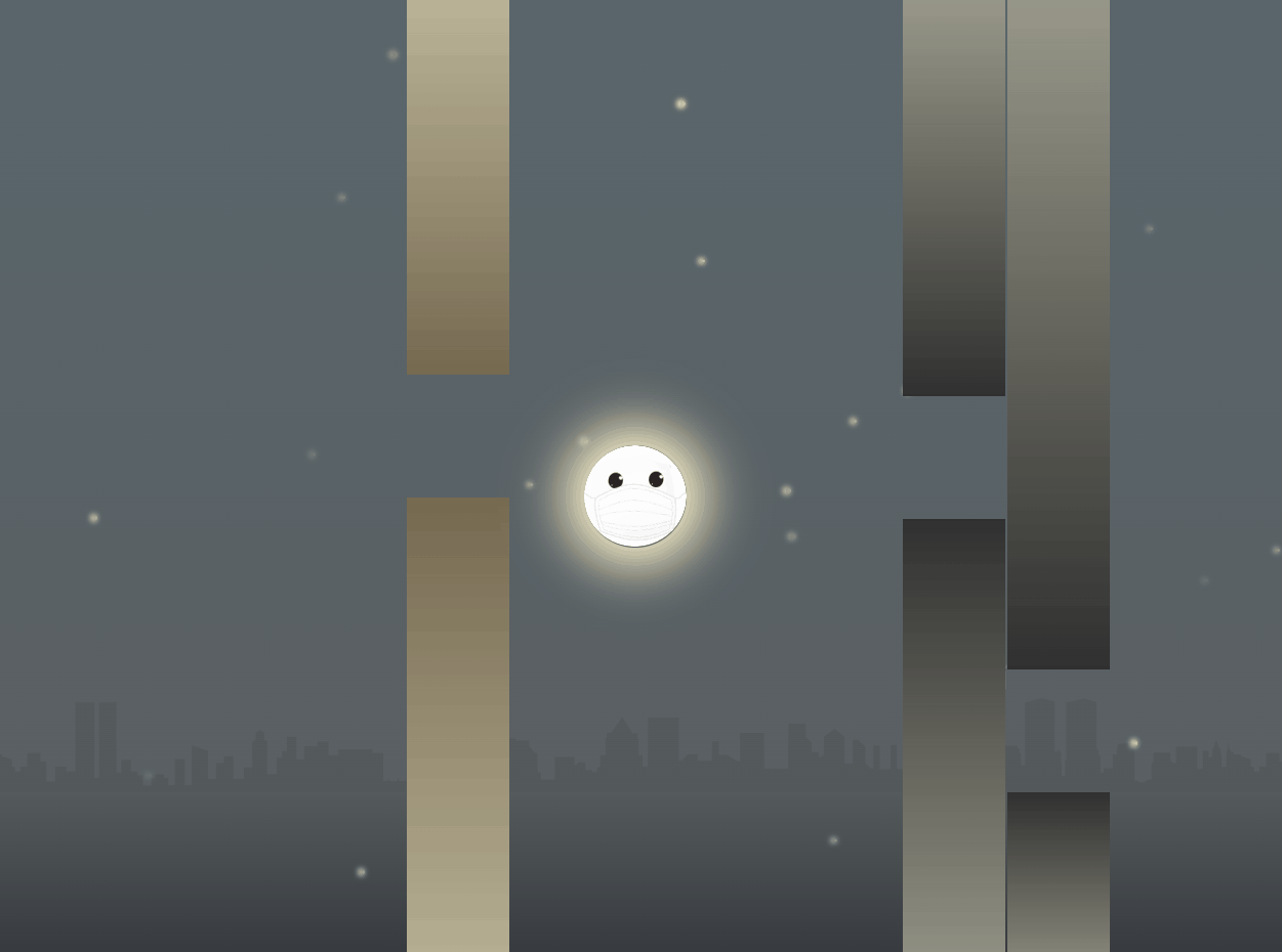 6.gif