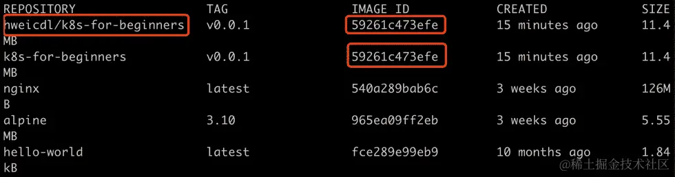图 1.16：检查标记的 Docker 图像