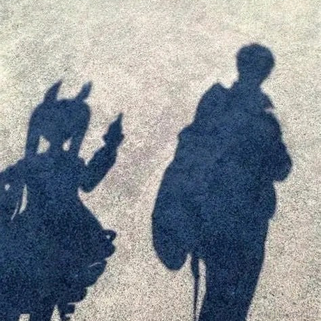 TdoU于2022-11-19 06:52发布的图片