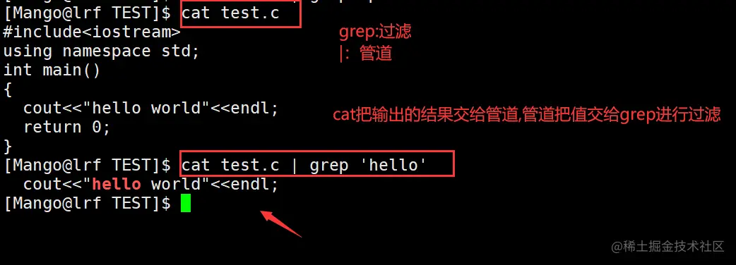 image-20220404214656056