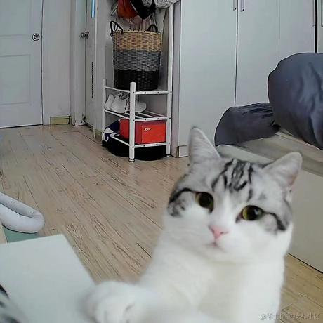 程序猿秃头之路于2022-01-08 10:07发布的图片