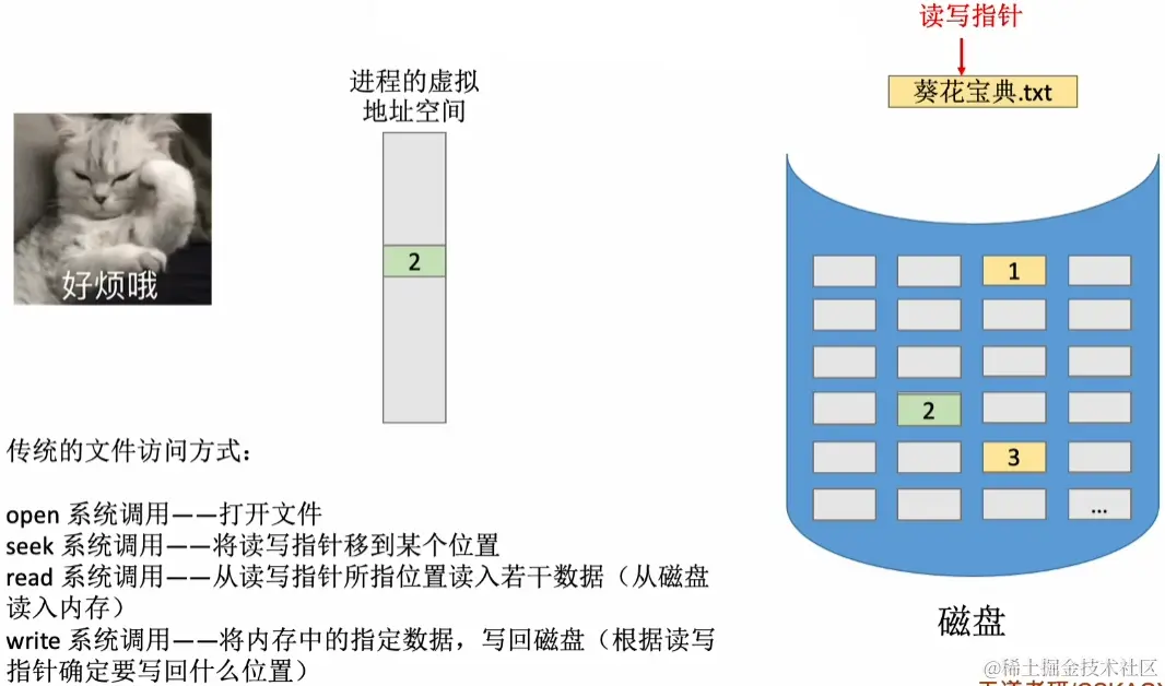 image-20230818044019258