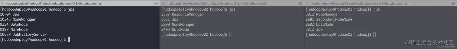 查看各个机器上启动的服务是否和我们规划的一致