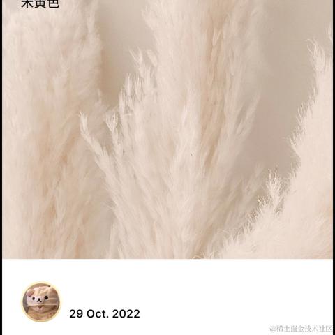 Rainbow_Sea于2022-10-29 21:50发布的图片