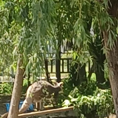 浮途途于2023-04-30 18:51发布的图片