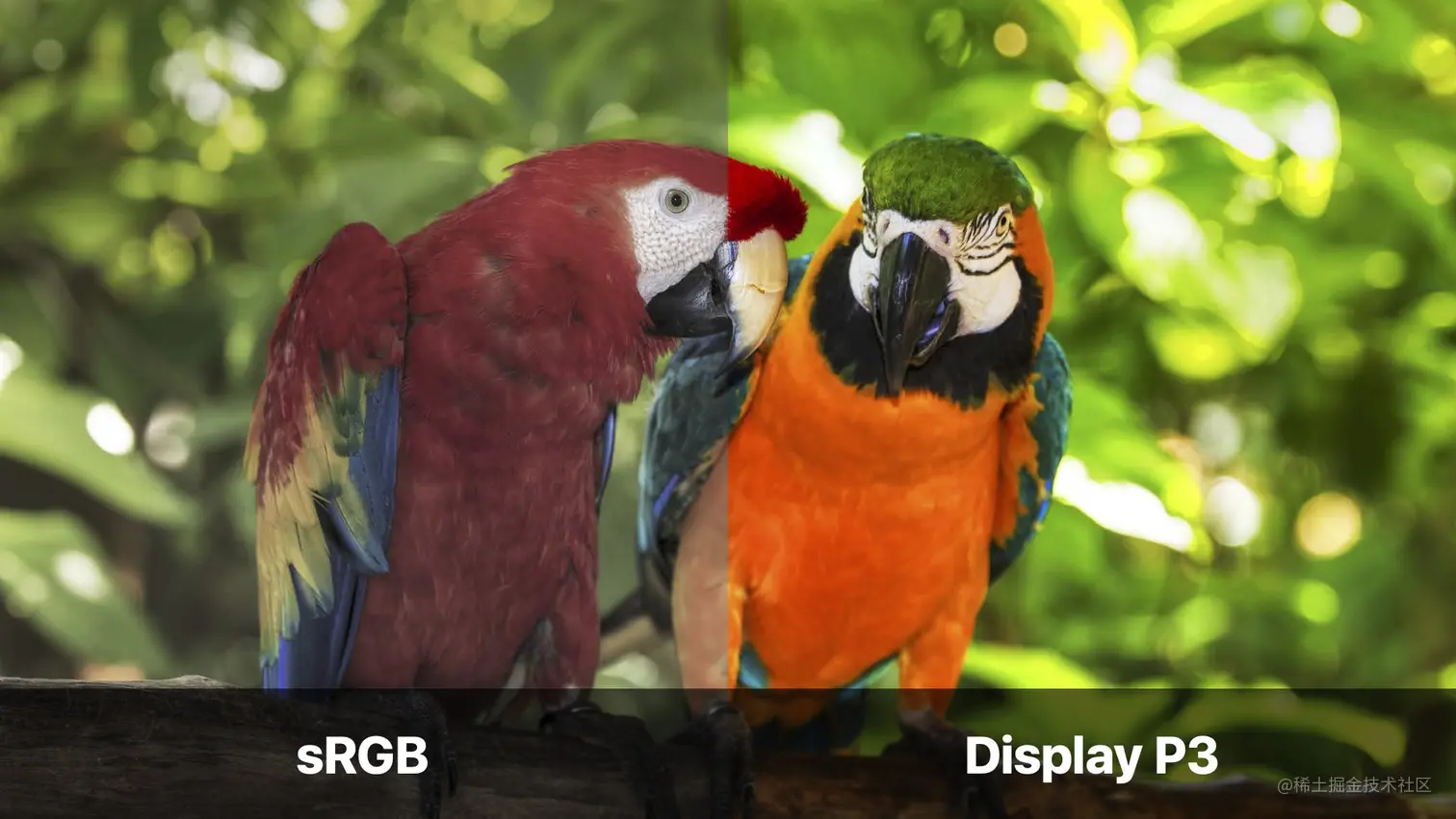sRGB_vs_Display P3jpg.jpg