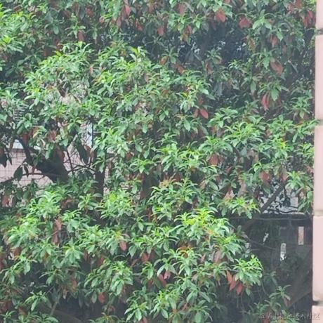 不飞则已一飞于2023-04-14 13:34发布的图片