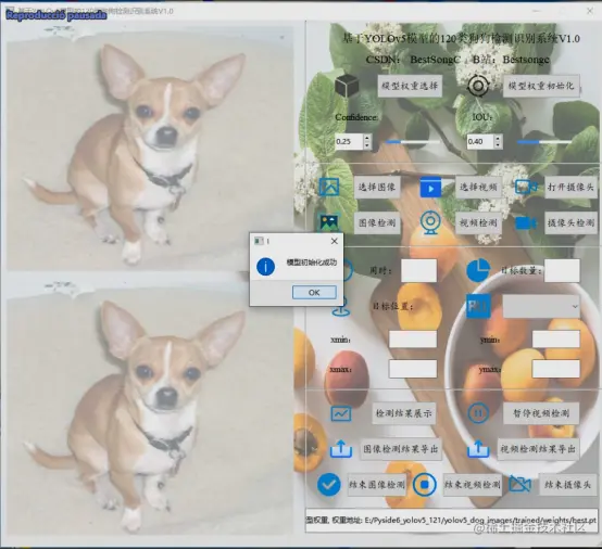 基于YOLOv5模型的120类狗狗检测识别系统V1.01894.png