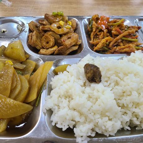 灰都没得于2023-04-17 22:25发布的图片