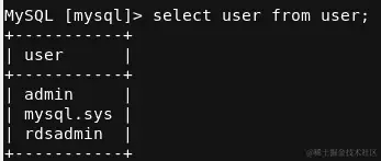 图 5.17 - 以人类可读文本显示的用户