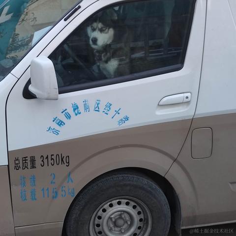 汤姆家的狗老鼠于2021-01-11 14:41发布的图片