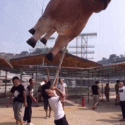 德育处主任于2022-06-30 15:06发布的图片