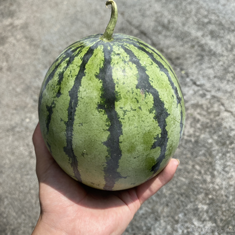 avavaava于2023-06-21 12:17发布的图片