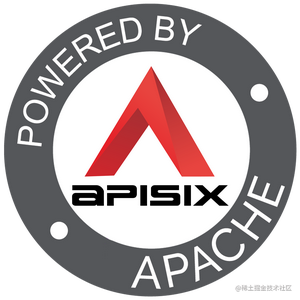 Apache_APISIX_中文社区