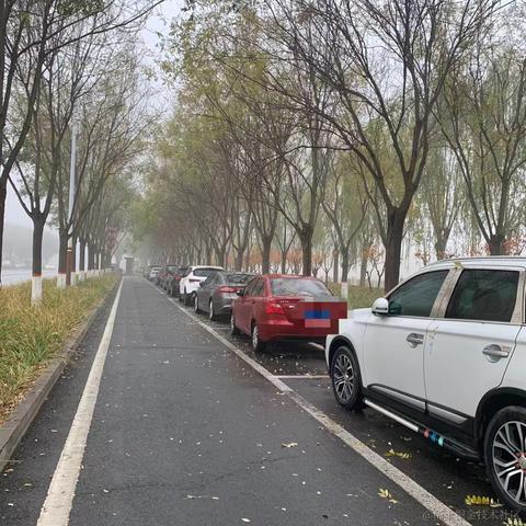 已注销于2022-11-11 10:40发布的图片