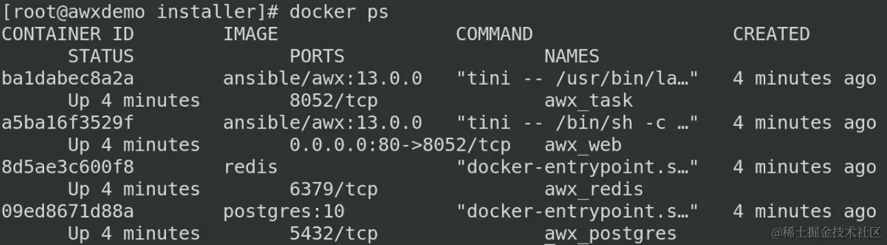 图 11.10-检查拉取和启动的 docker 图像