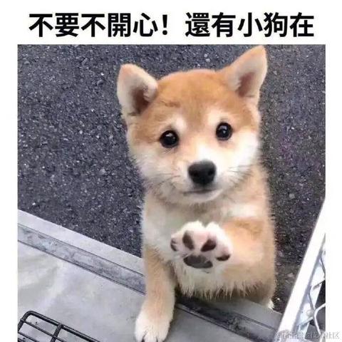 江南柳于2022-11-28 10:08发布的图片