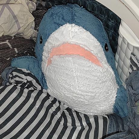 锅里没有水母于2022-12-24 19:10发布的图片