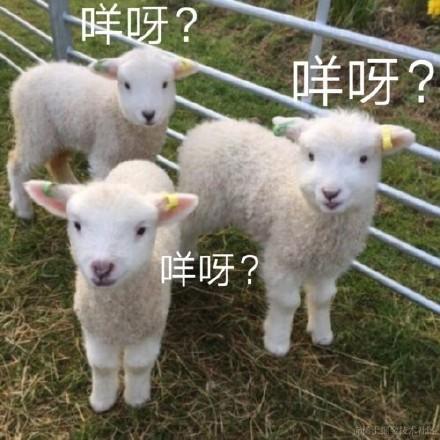 夜长长长长于2021-02-23 16:43发布的图片