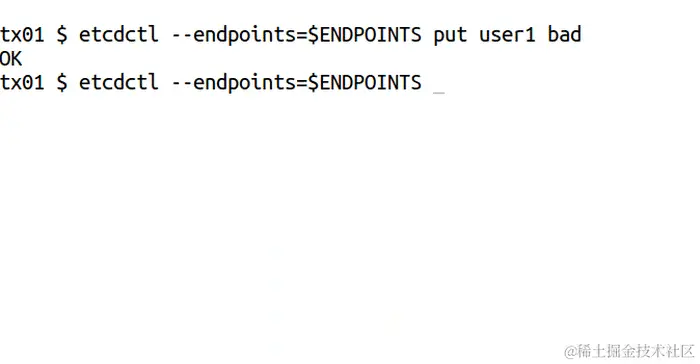 05_etcdctl_transaction_2016050501