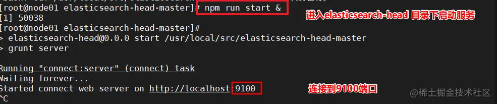 image-20220616234551371